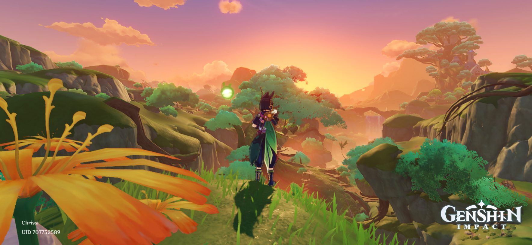 Just enjoying the view Genshin Impact | HoYoLAB