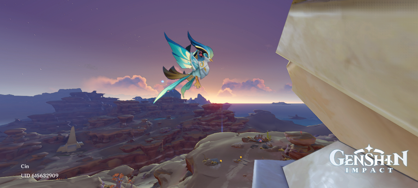 Birb and Sun Genshin Impact | HoYoLAB image.