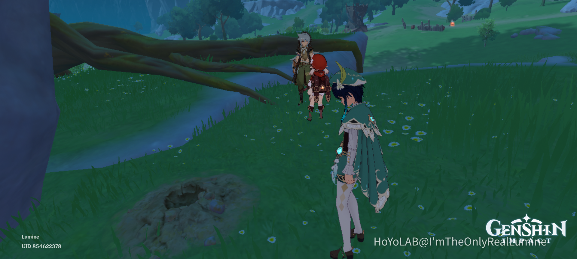 Wine Genshin Impact HoYoLAB