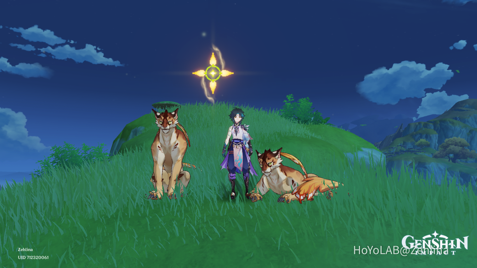 Big Cats Genshin Impact | HoYoLAB