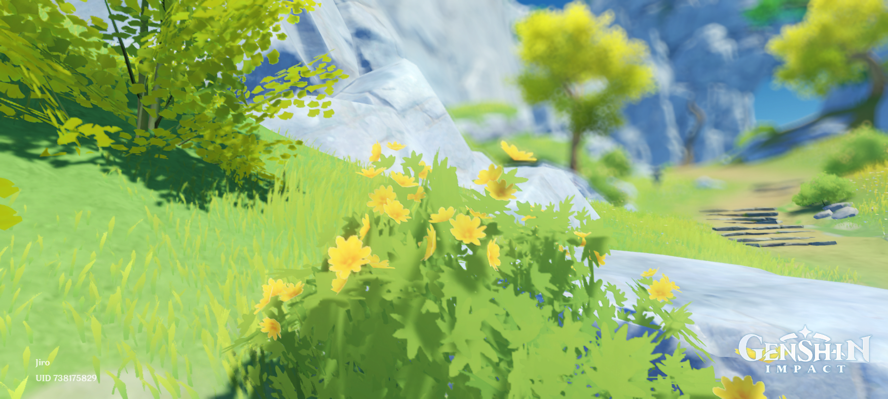 Flower Genshin Impact HoYoLAB