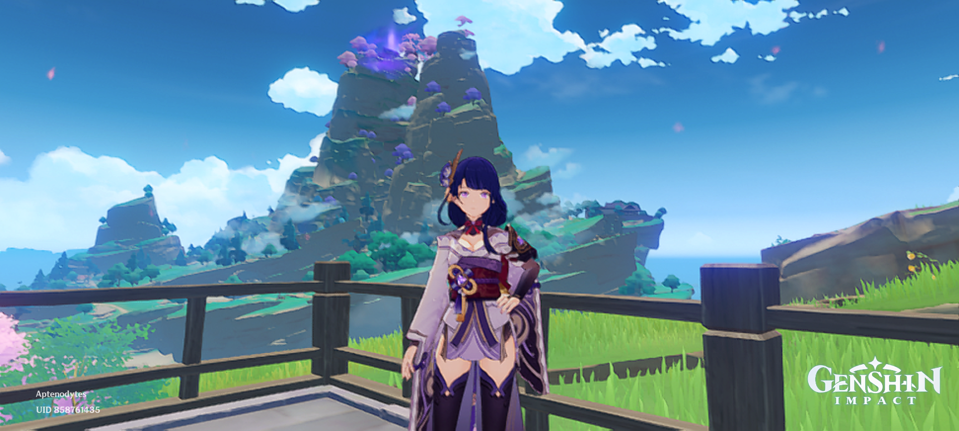 Pose for me Ei Genshin Impact HoYoLAB