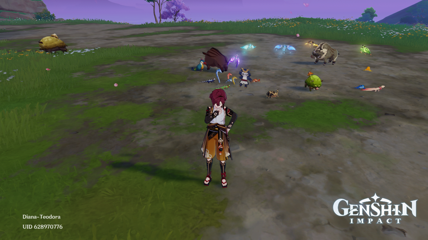 Gathering small animals Genshin Impact HoYoLAB