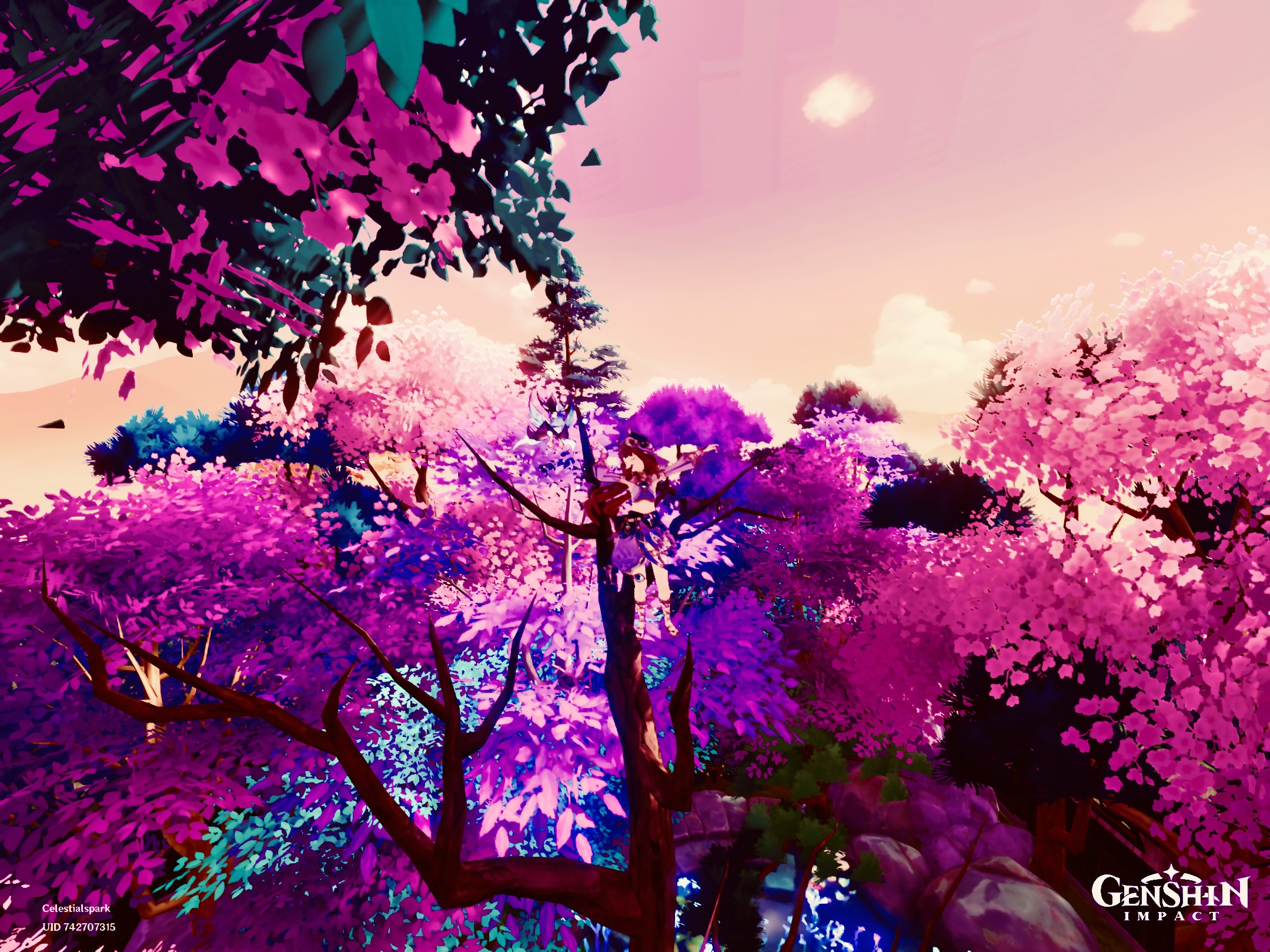 My Serenitea Pot ) pt 3 Genshin Impact HoYoLAB