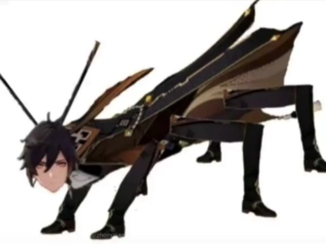 roach Archon Genshin Impact HoYoLAB