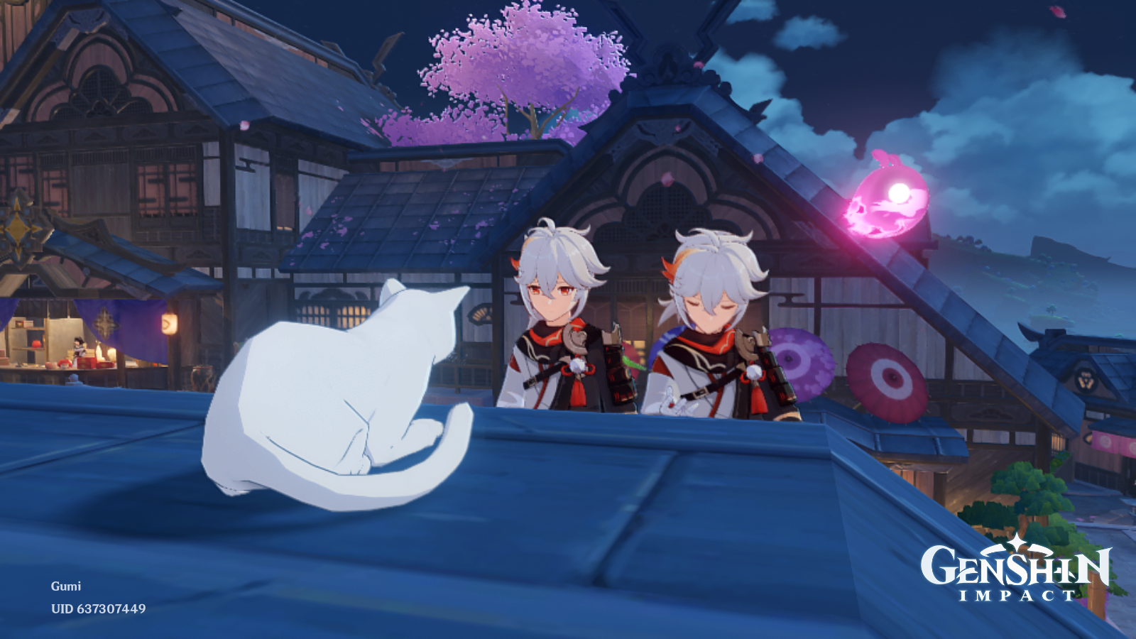 Three cats ~(=^–^) Genshin Impact | HoYoLAB