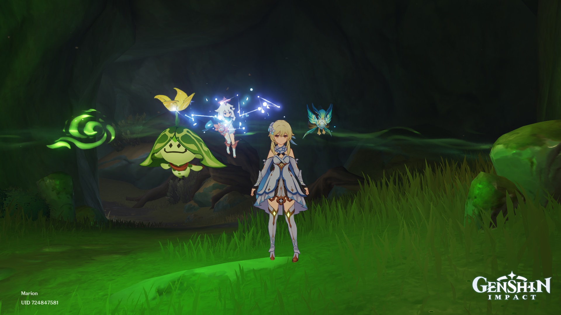 Floating companions! Genshin Impact HoYoLAB