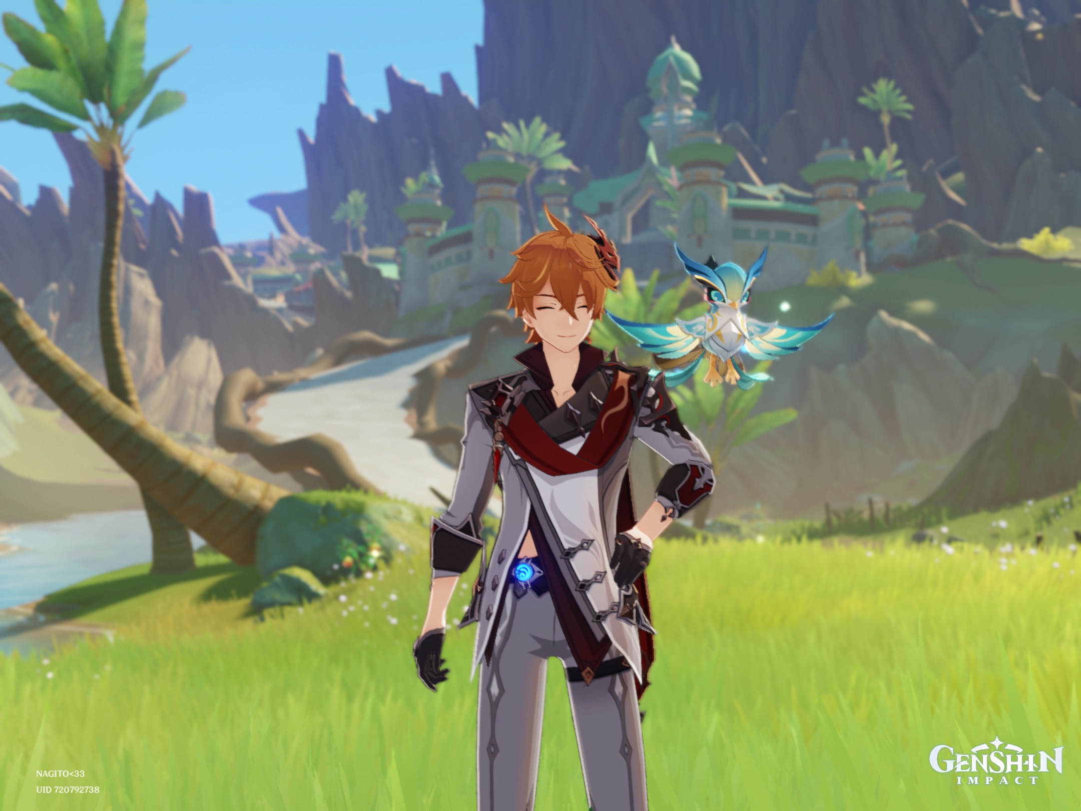 Ginger Genshin Impact HoYoLAB