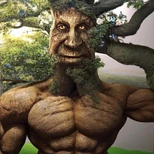 tree Genshin Impact | HoYoLAB