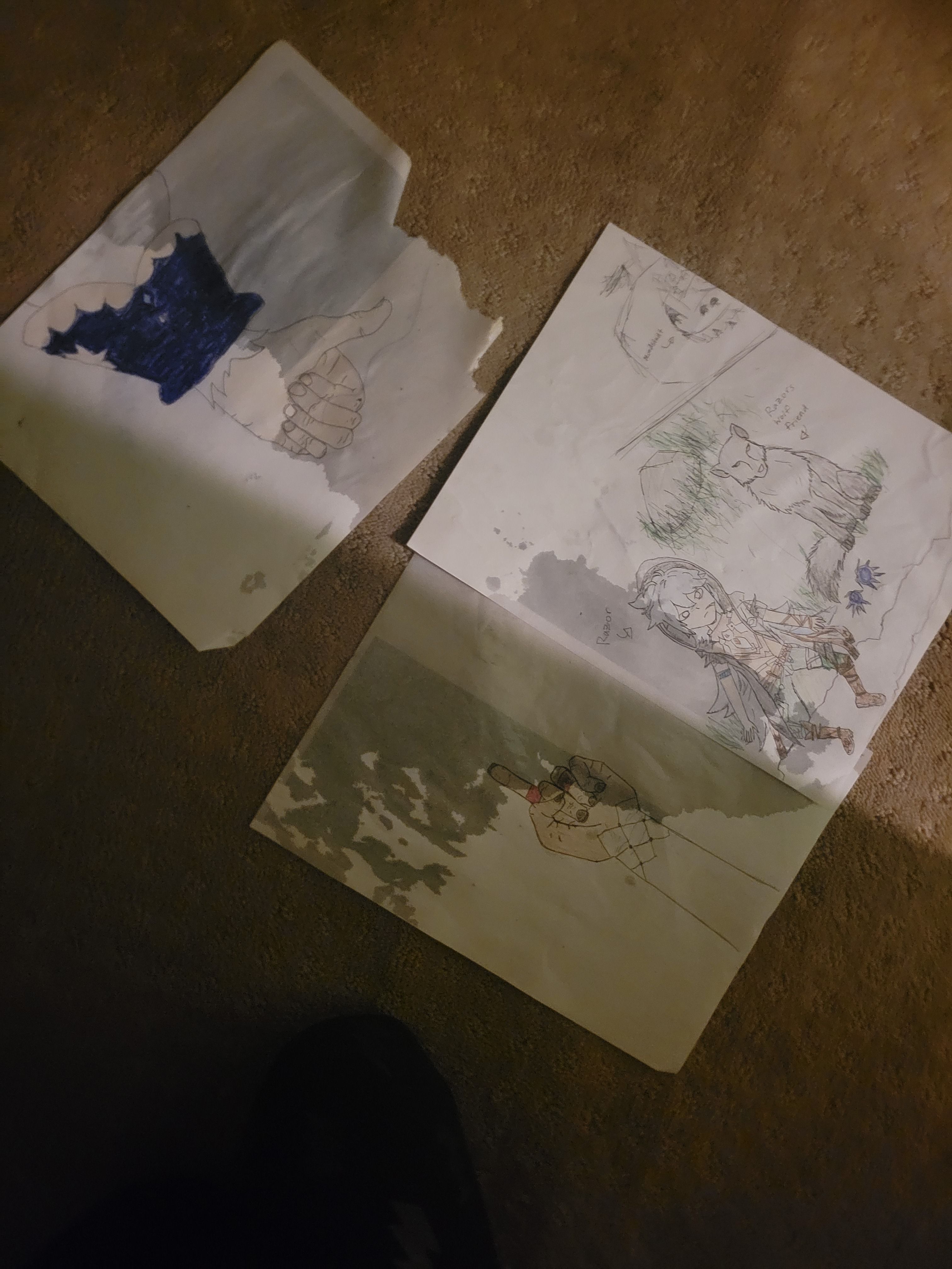 My dog got into my room and barfed my drawings Genshin Impact HoYoLAB