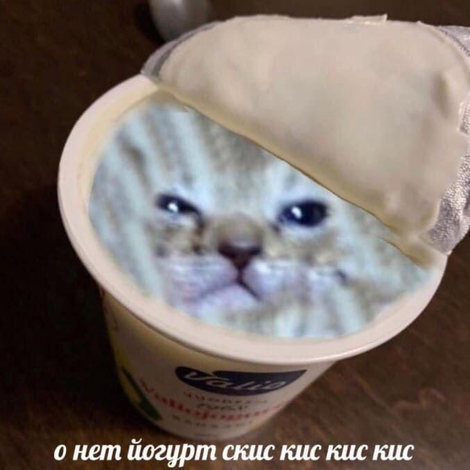 йогурт скис кис кис Genshin Impact | HoYoLAB
