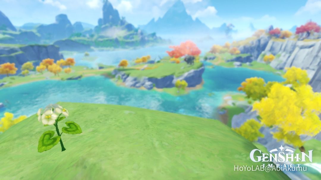 Qingxin Flower Genshin Impact HoYoLAB