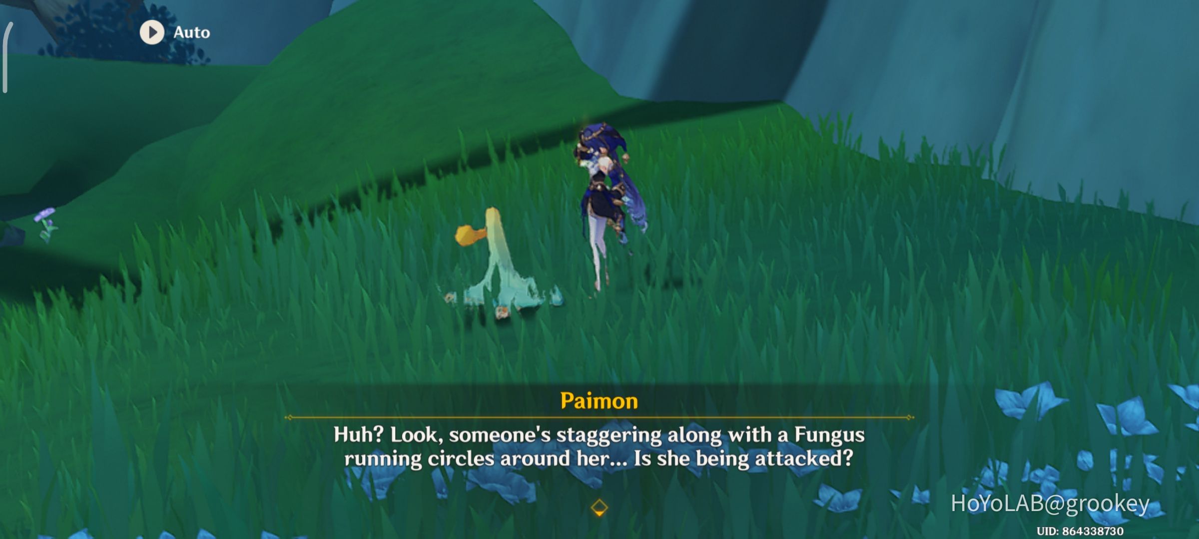 spoiler-we-meet-layla-genshin-impact-hoyolab