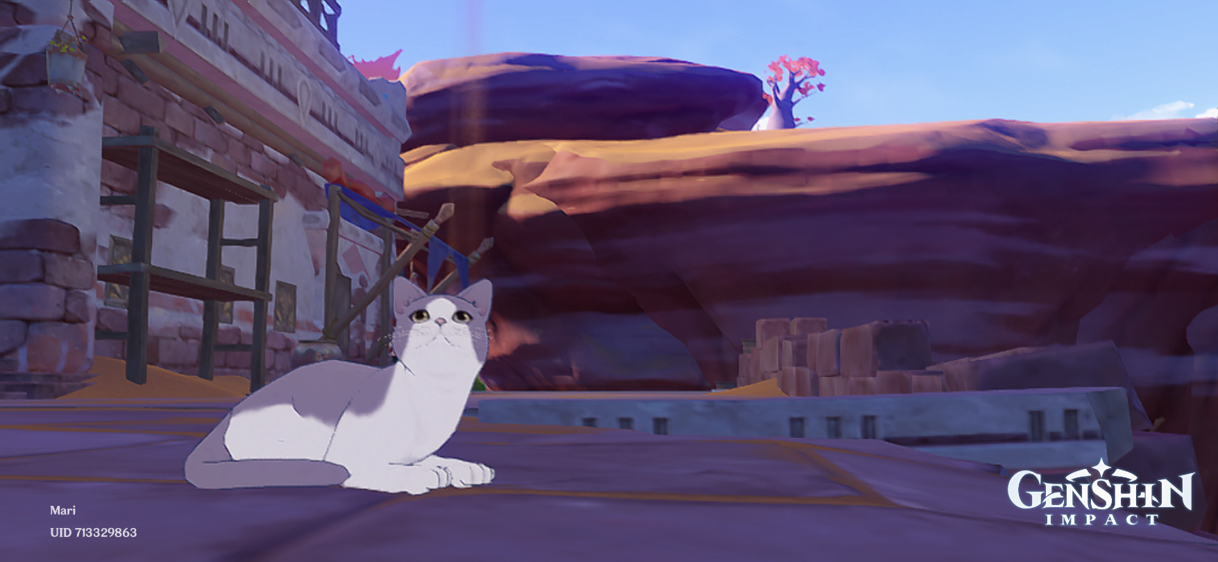 CATS Genshin Impact | HoYoLAB