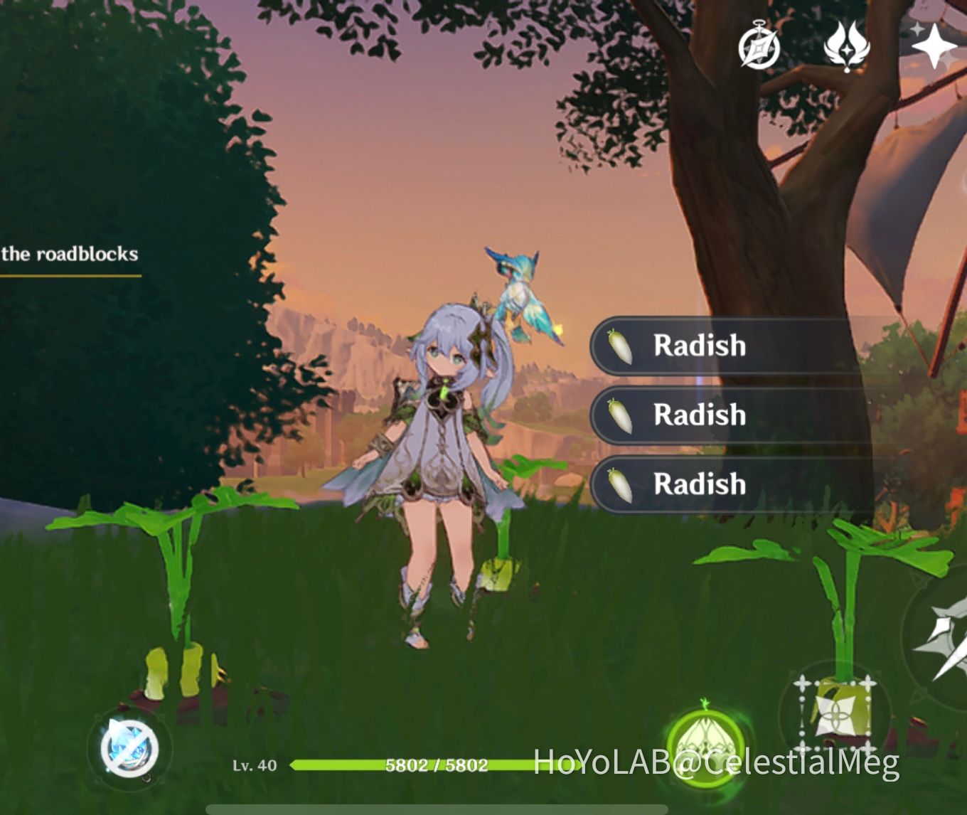 The Radish among radishes Genshin Impact HoYoLAB