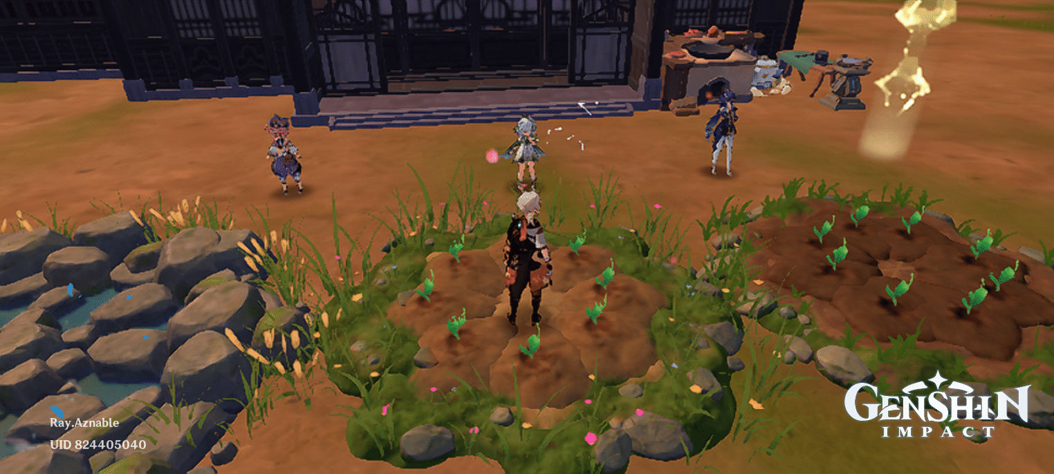 Effective Set Up in Teapot Genshin Impact HoYoLAB