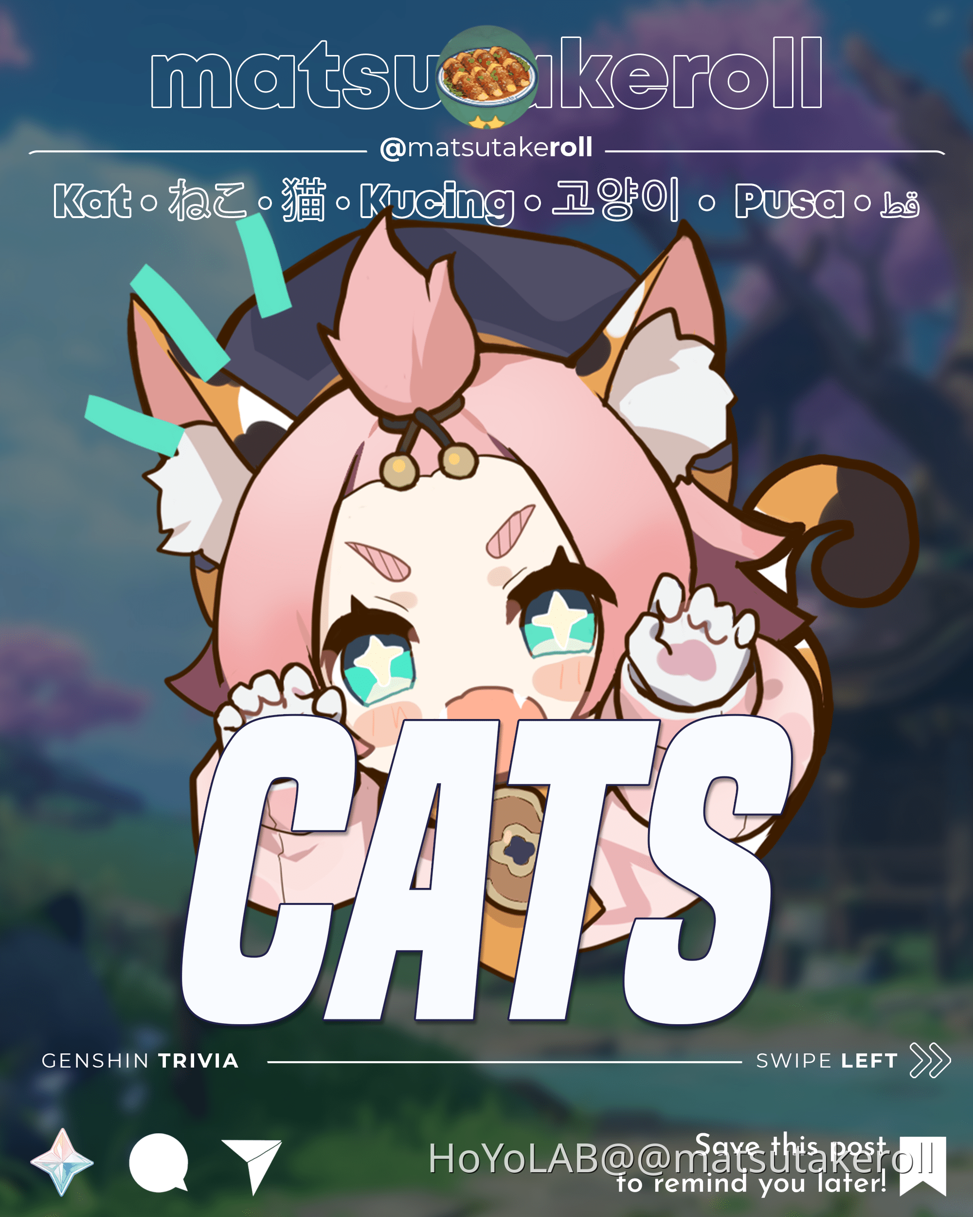 Cats Genshin Impact | HoYoLAB