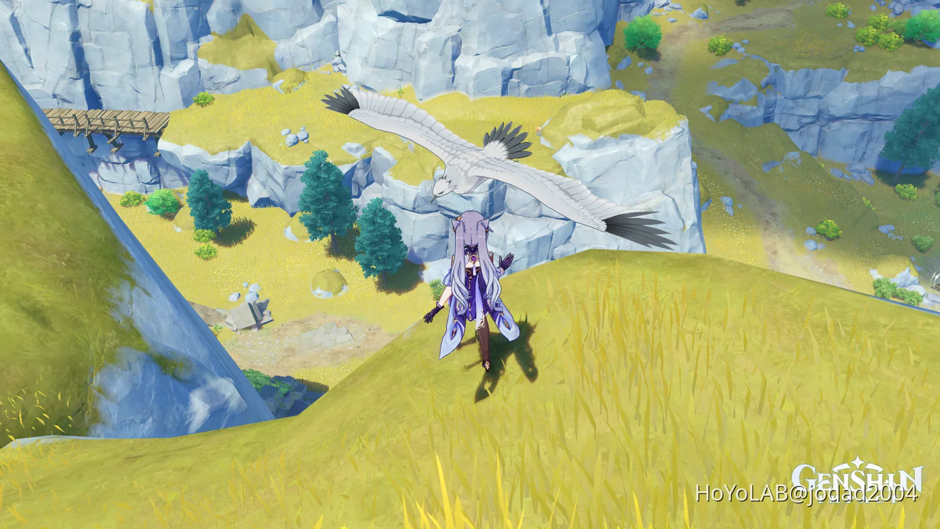 New glider Genshin Impact HoYoLAB