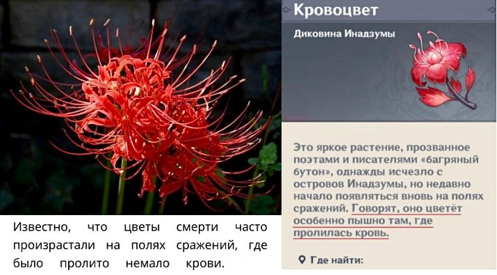 Я конечно не суеверная, но Люмин… Genshin Impact | HoYoLAB