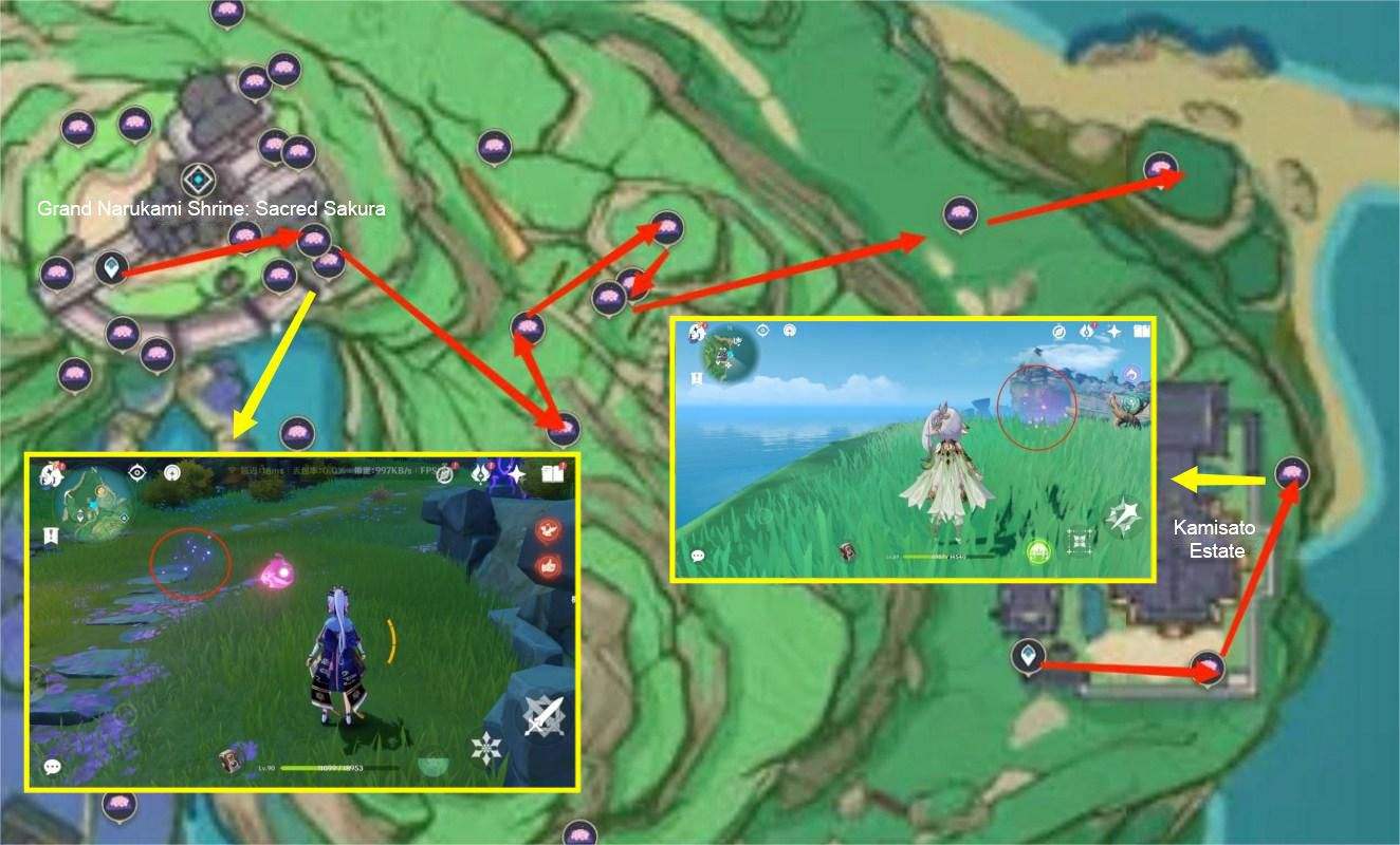 [V3.3][Sakura Bloom] Collection Guide: Get 63 within 10 min! Genshin ...