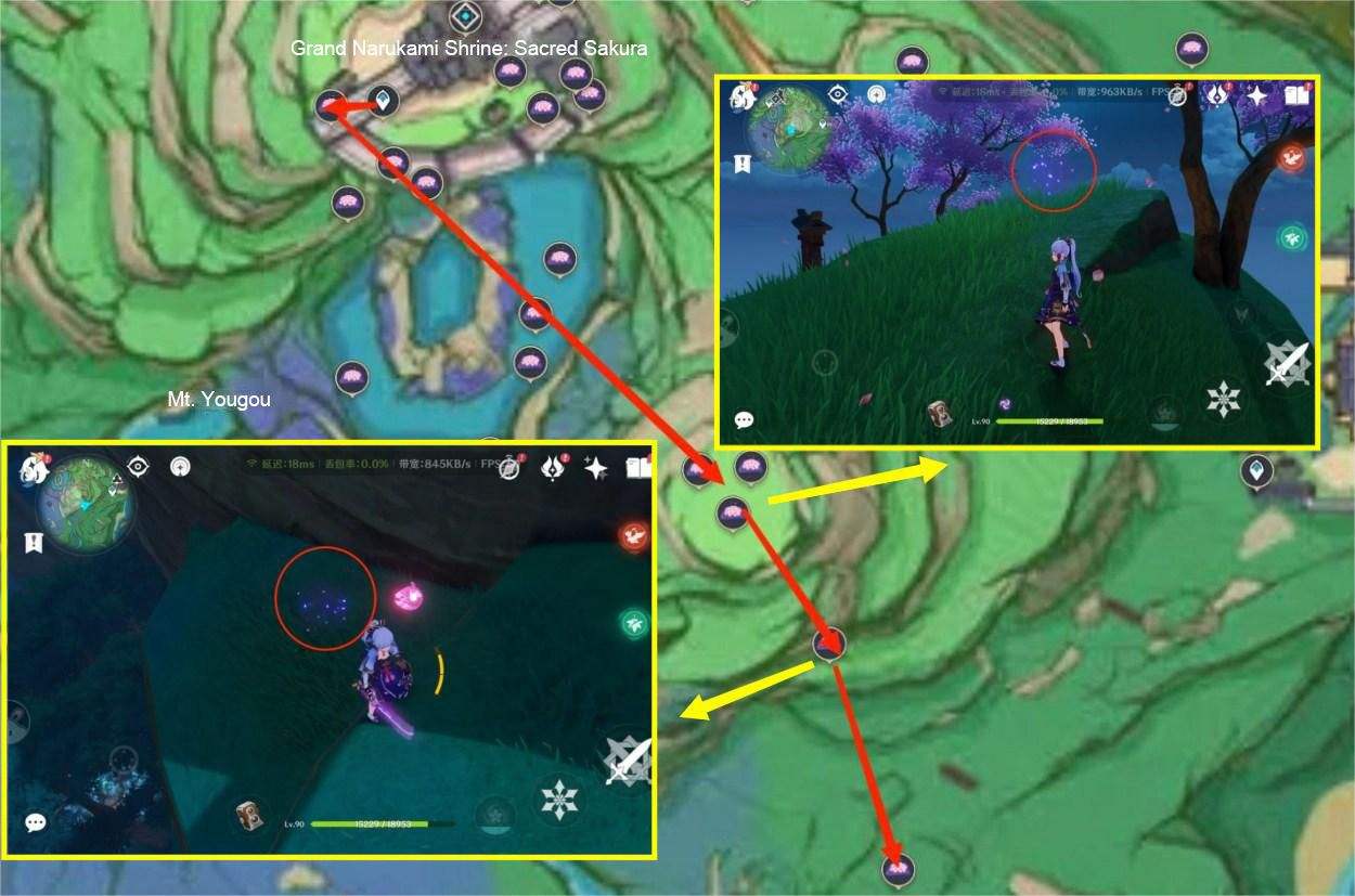 [V3.3][Sakura Bloom] Collection Guide: Get 63 within 10 min! Genshin ...