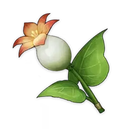 List of Flowers in Teyvat Genshin Impact | HoYoLAB