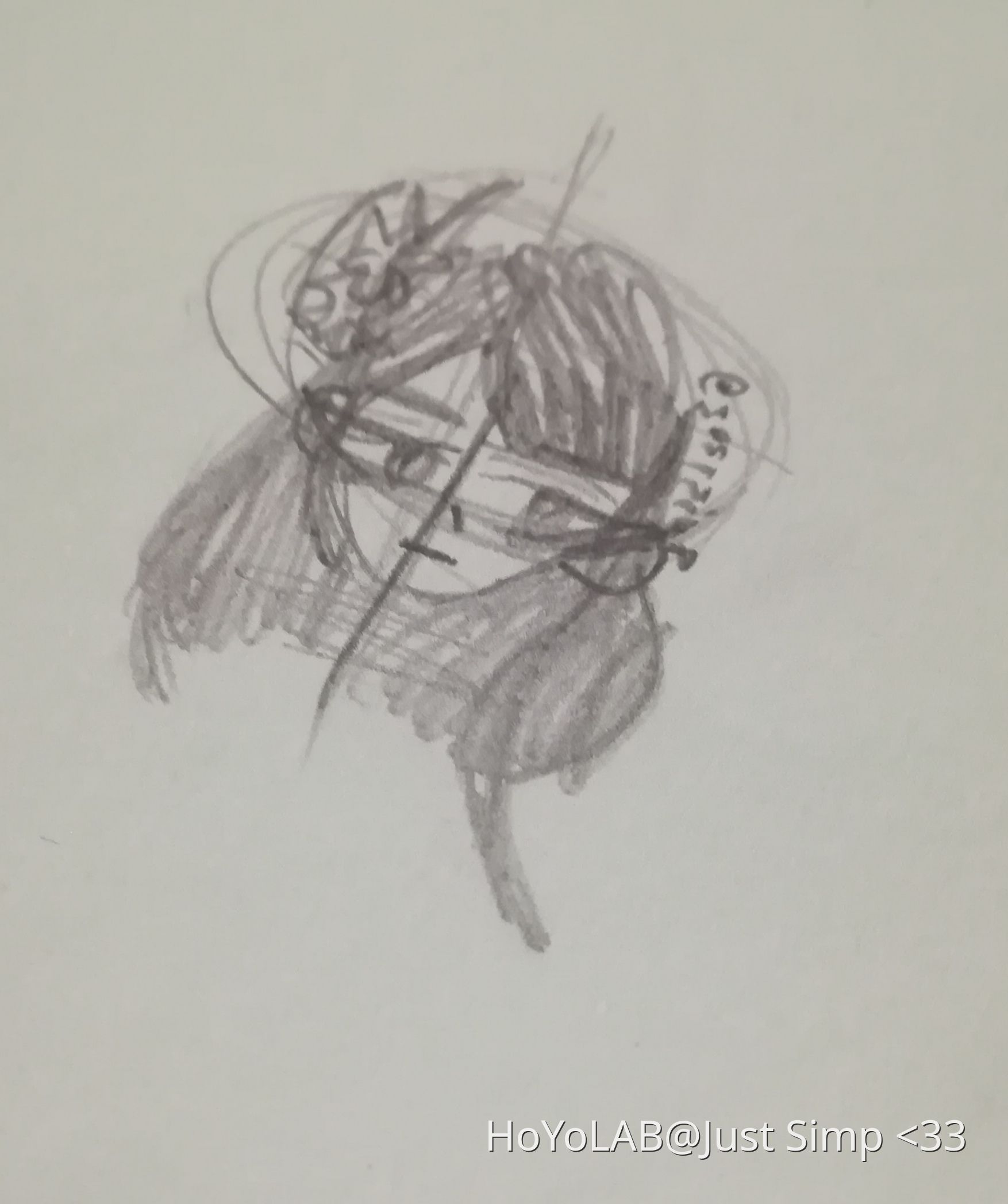 RAIDEN SHOGUN FANART DESIGN TUTORIAL AND ARTIST BIOGRAPHY FACTS 2026 visual data 4