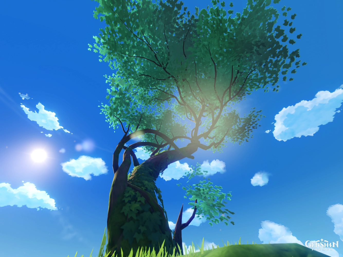 tree photos Genshin Impact HoYoLAB