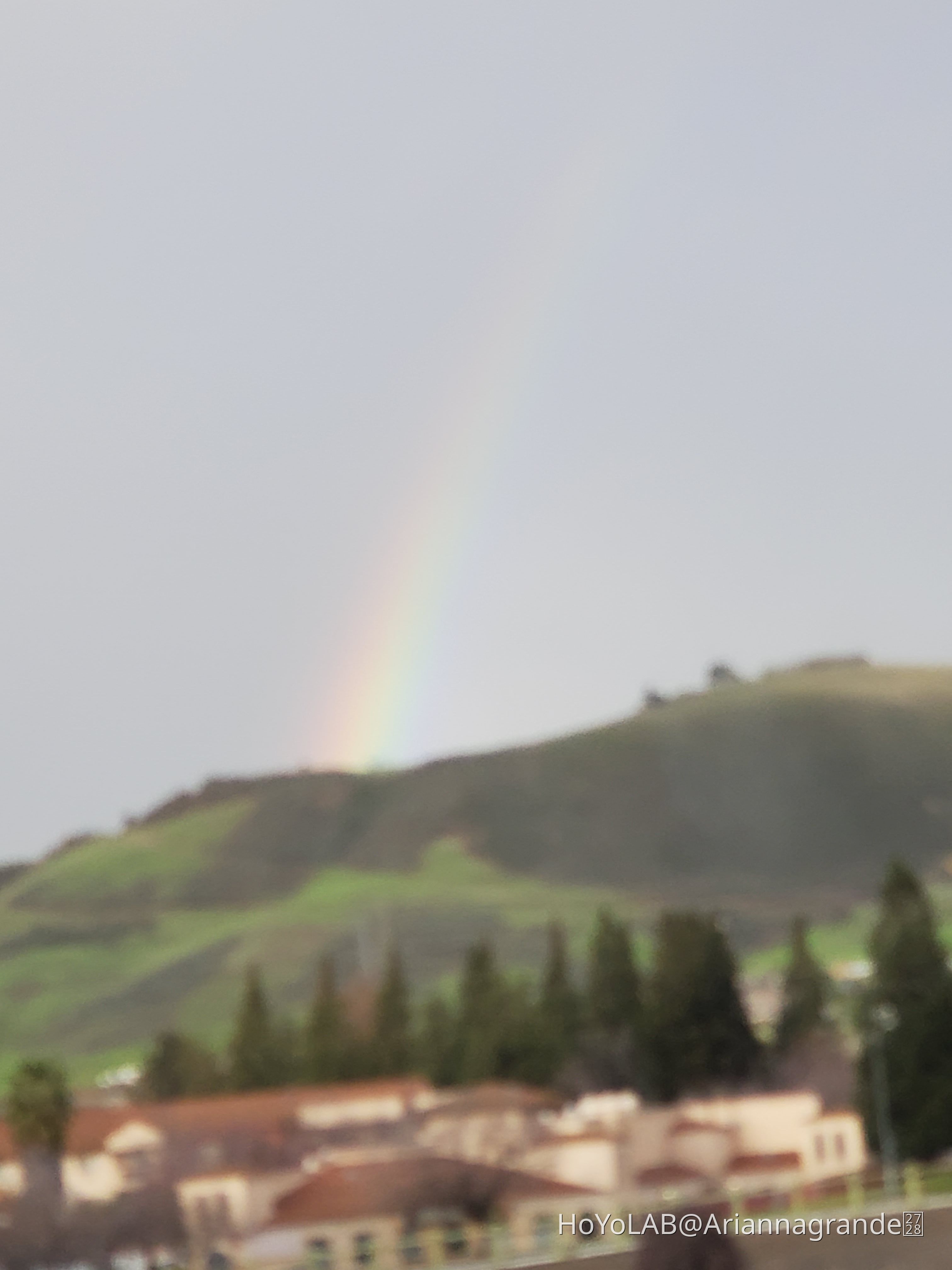 RAINBOW