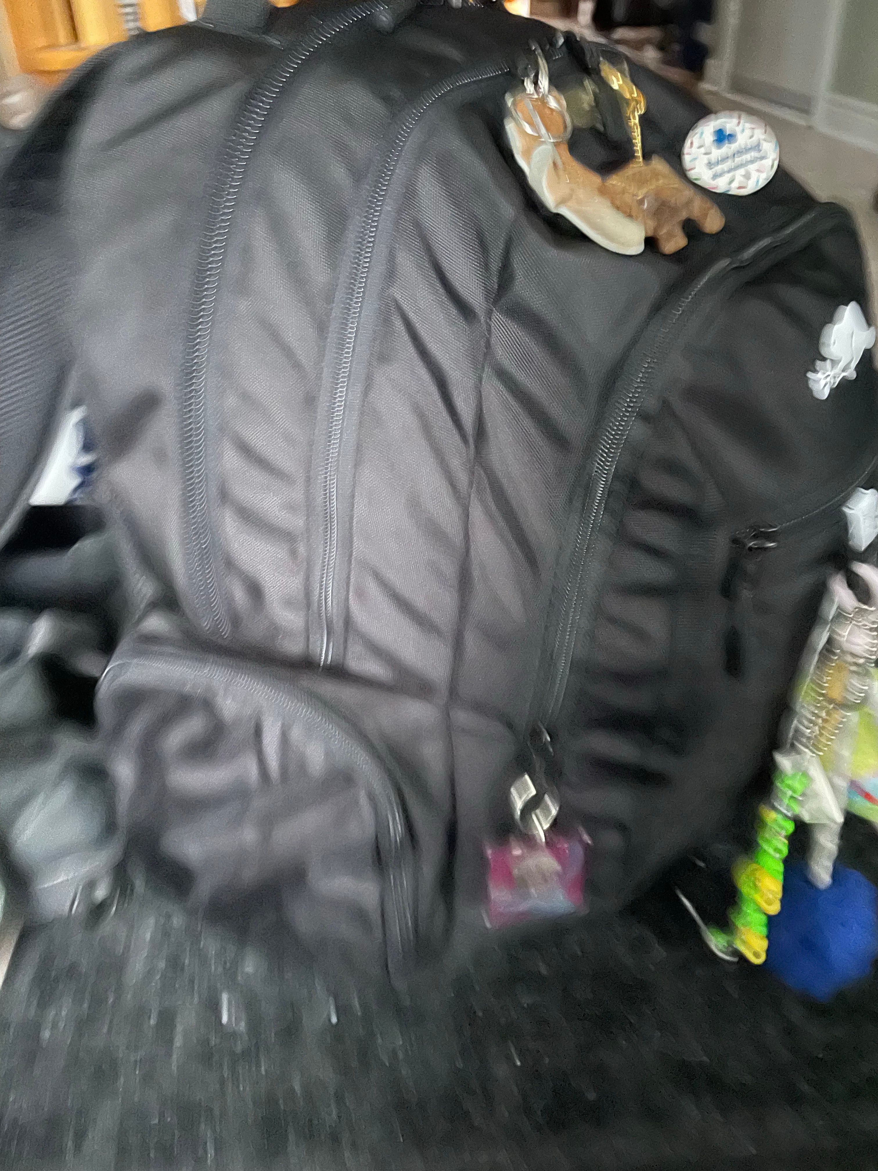 Guys my backpack is pregnant HoYoLAB