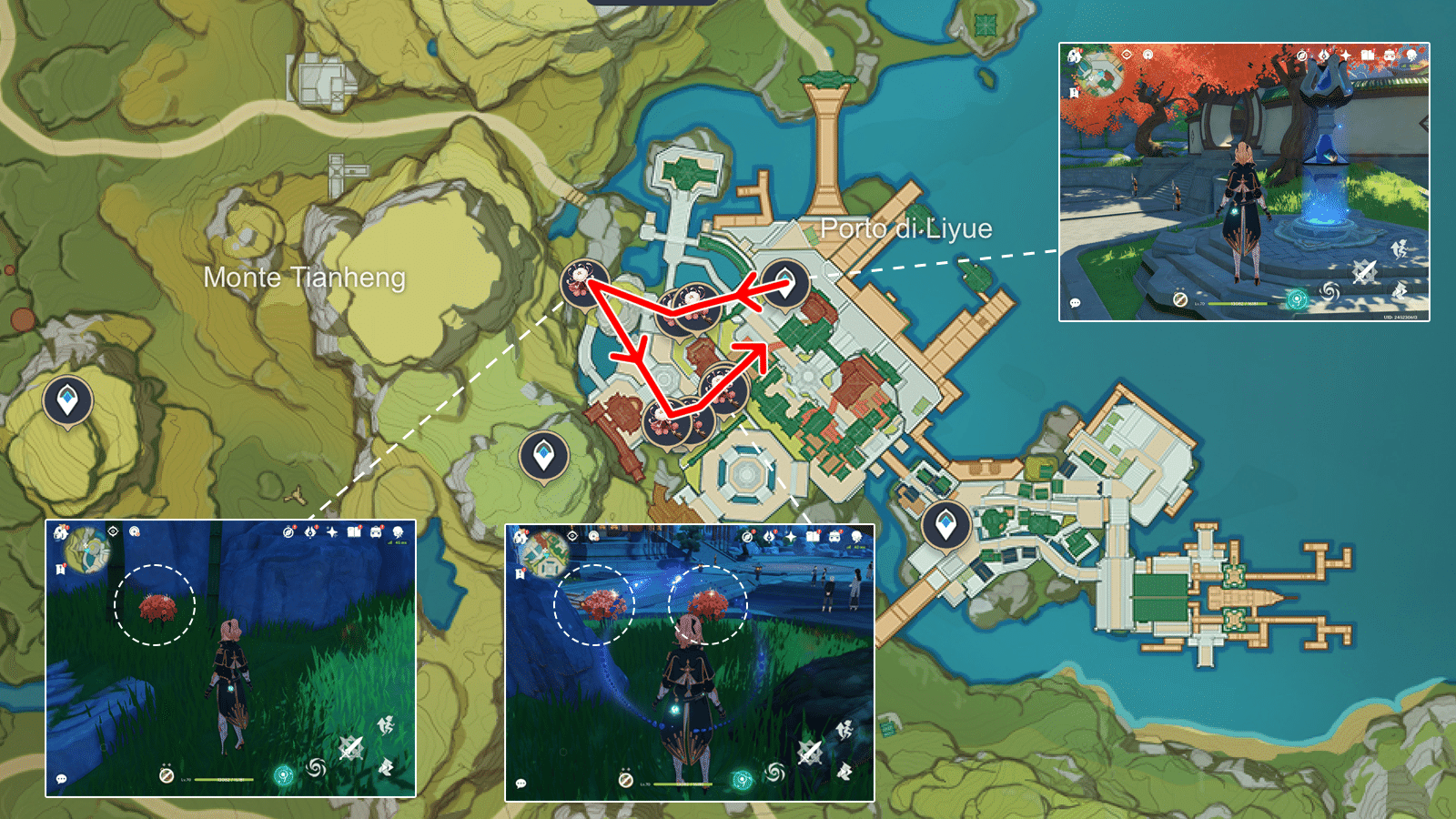 [Guida per la raccolta dei materiali] Raccogliere facilmente “Fior di