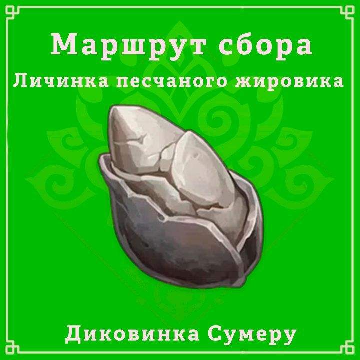 [Гайды 3.4] Личинка песчаного жировика | Маршрут сбора диковинки ...