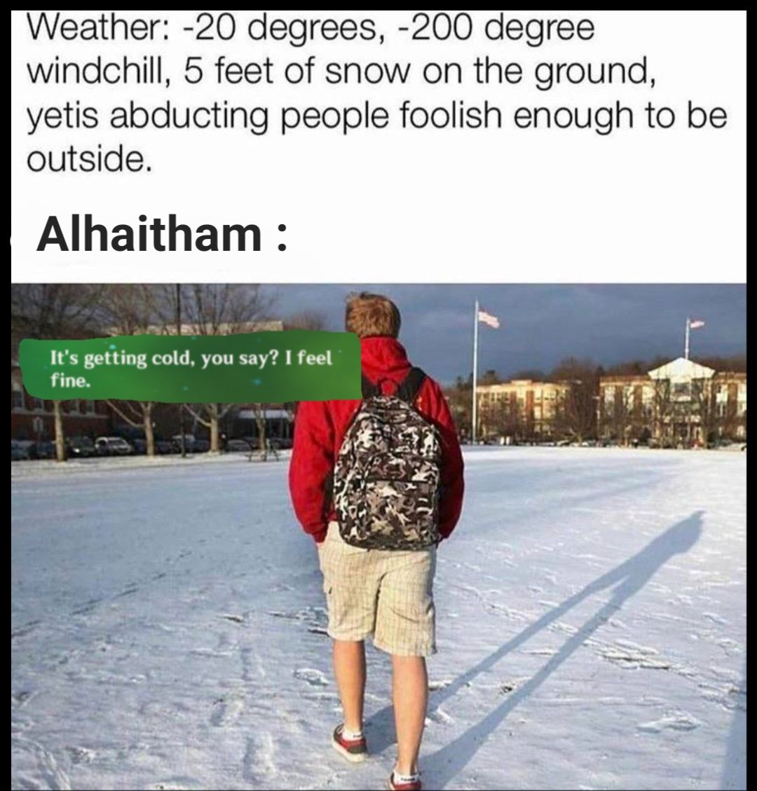 Some alhaitham memes genshin impact hoyolab