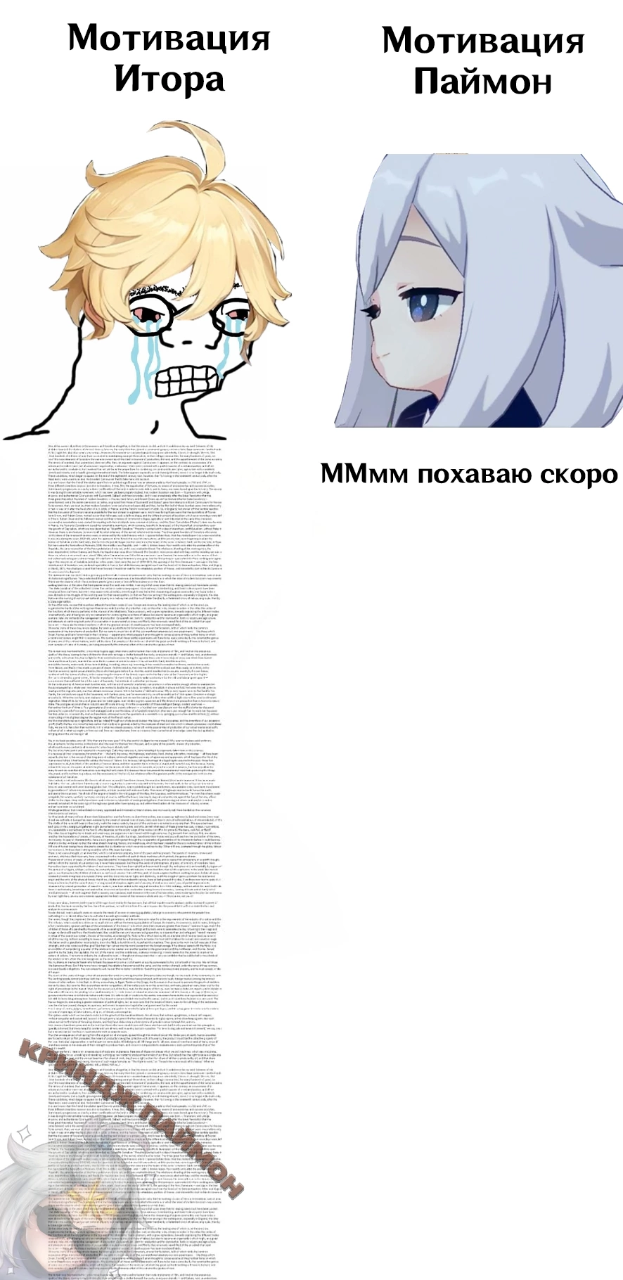 мемы из интернета Genshin Impact | HoYoLAB