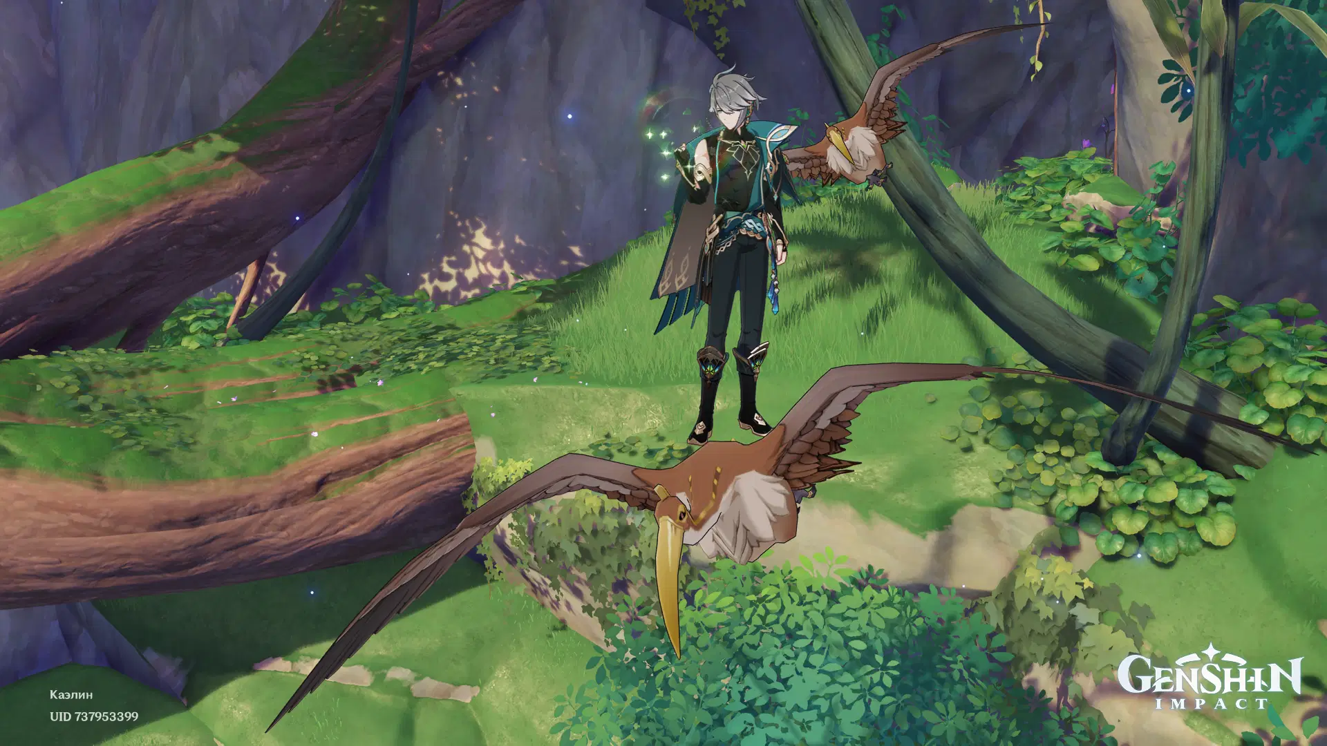 О кто кто миколая любить