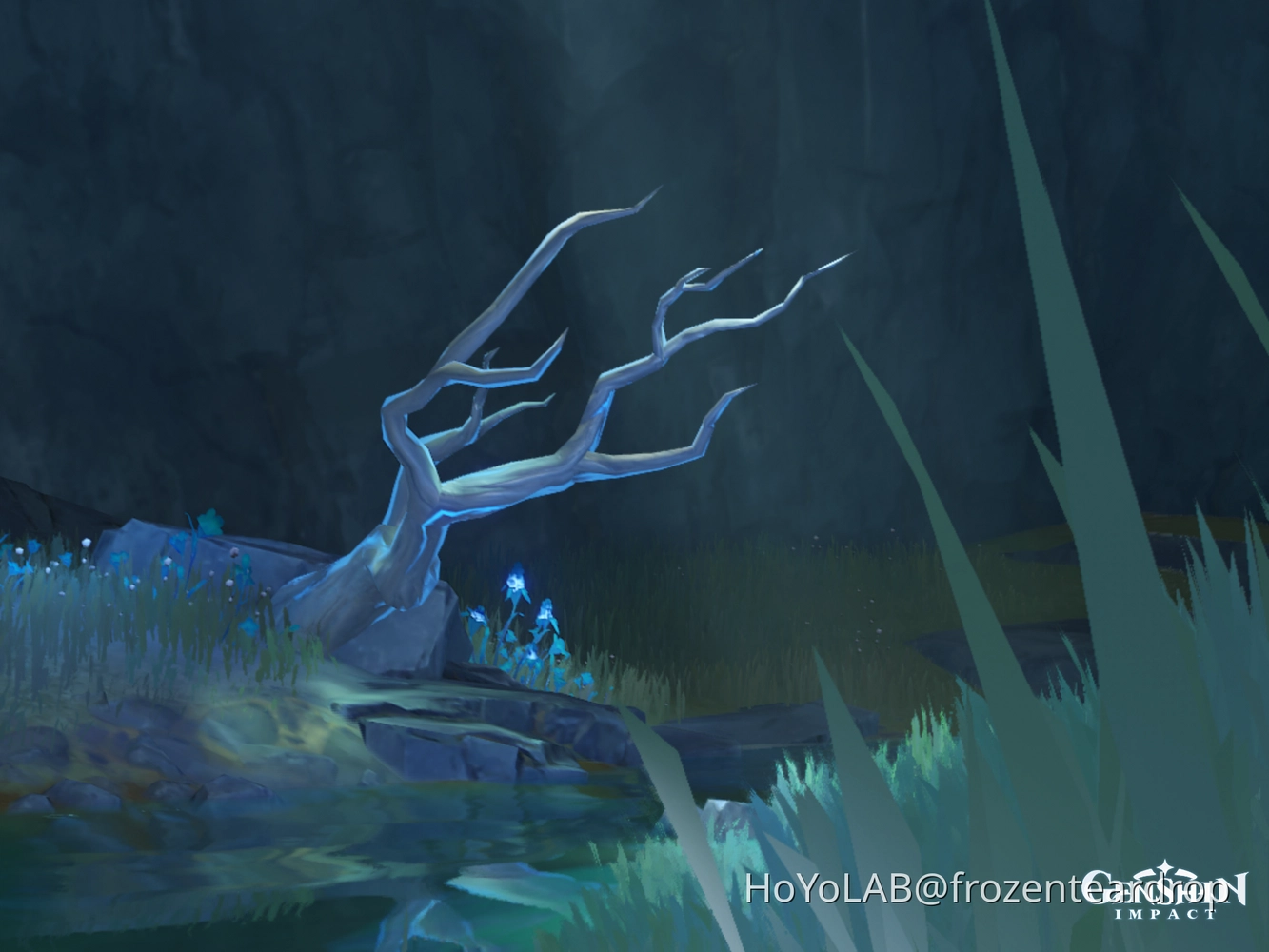 snapshots Genshin Impact HoYoLAB