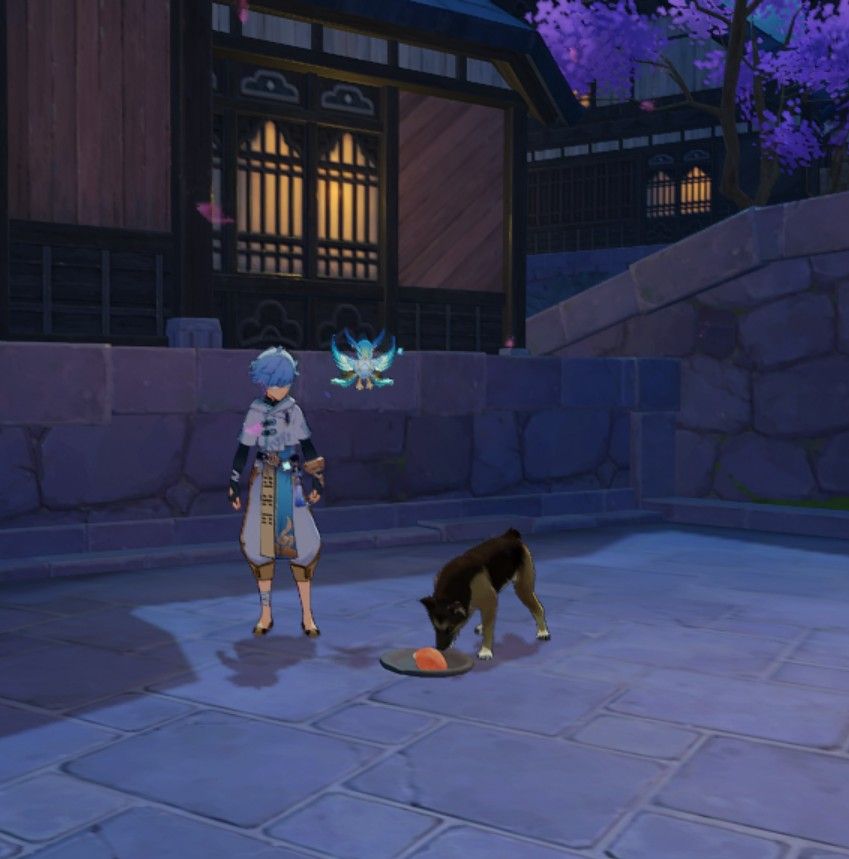 Feed The Dog! Genshin Impact HoYoLAB