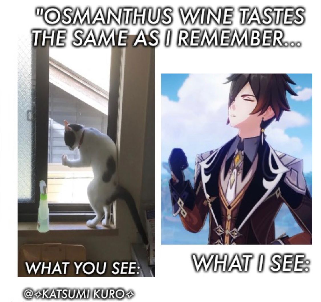 Osmanthus Wine Taste The Same As I Remember