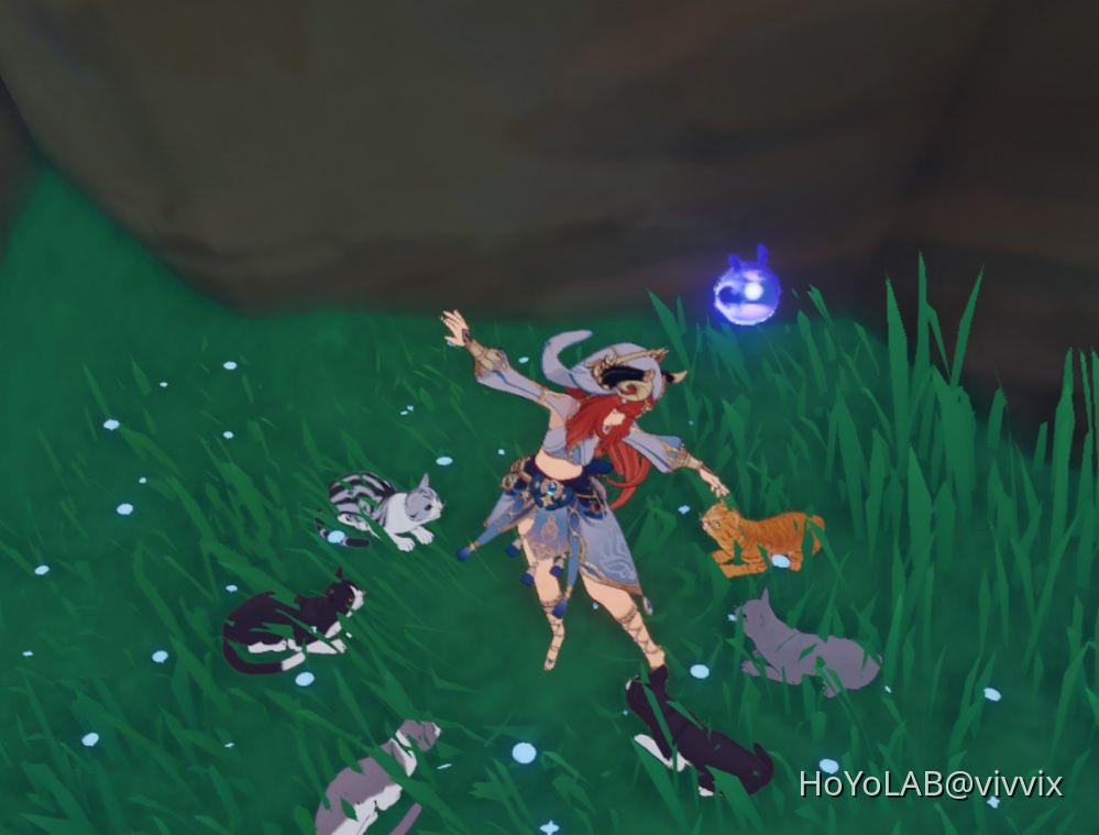 Cat Ritual Genshin Impact | HoYoLAB