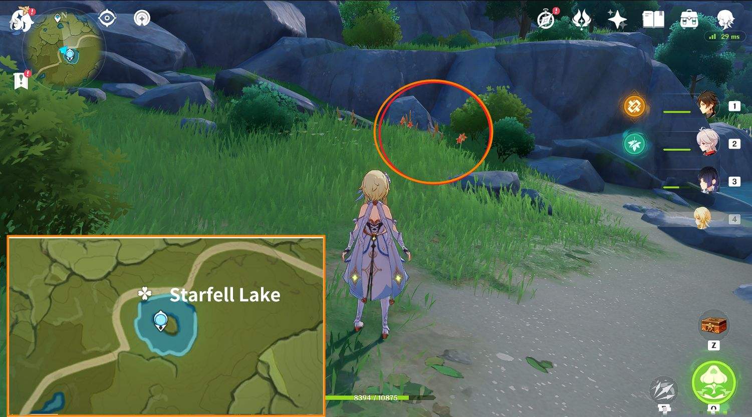 Character Breakthrough Material[Windwheel Aster] ×71 Collection