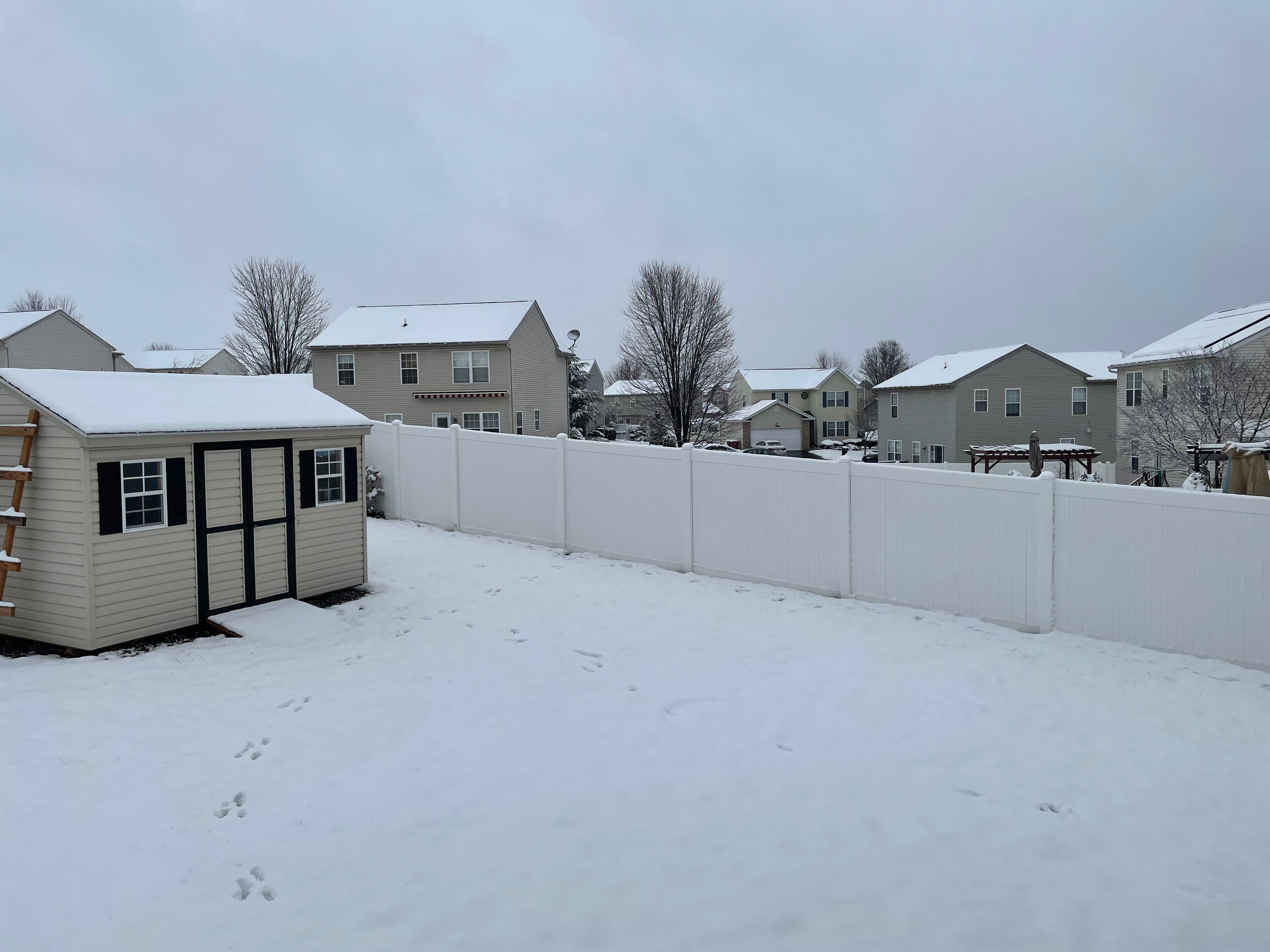 Xiao would love to eat Genshin Impact HoYoLAB