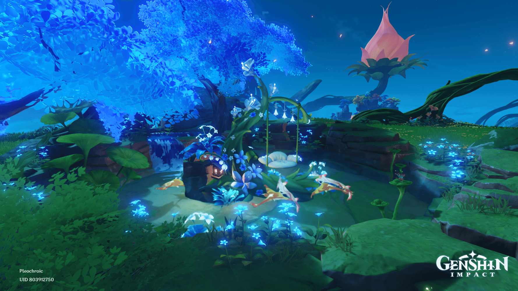 Teapot Update, In Wit's Corner Genshin Impact HoYoLAB