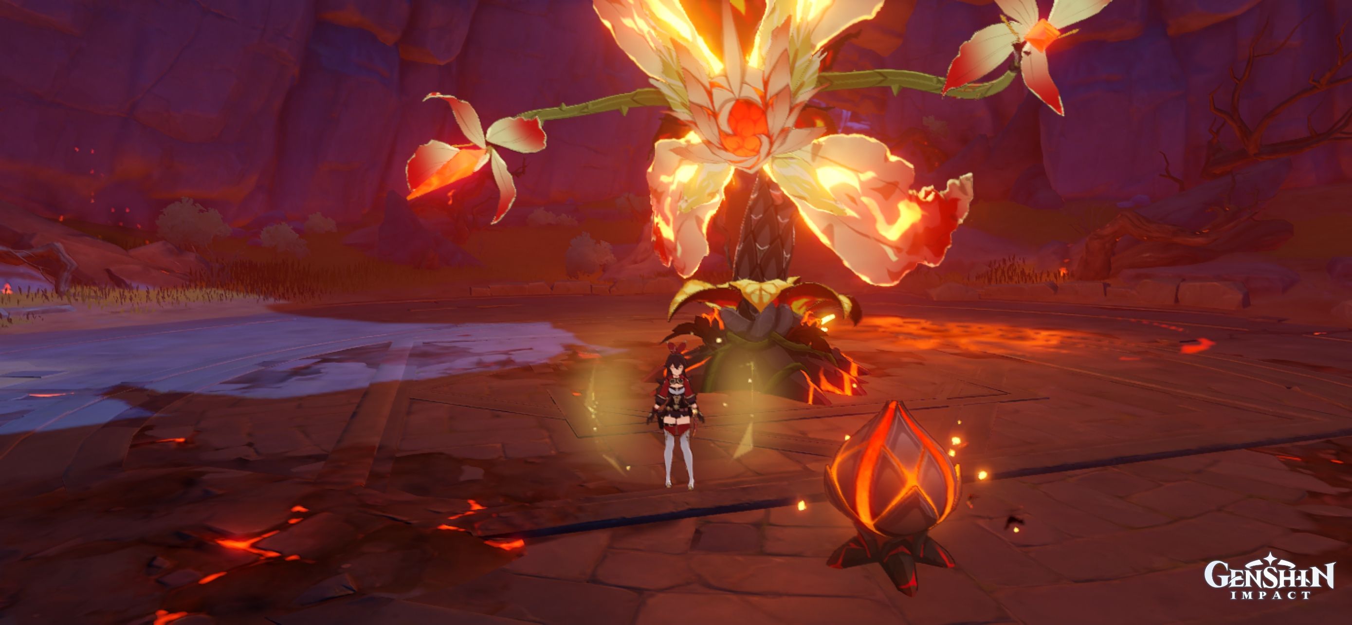 Flower Genshin Impact HoYoLAB