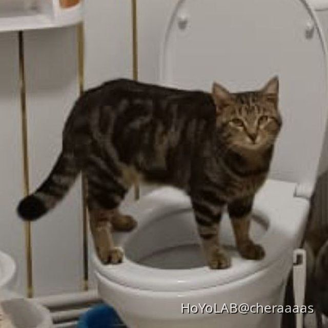 #кот-геншин Genshin Impact | HoYoLAB