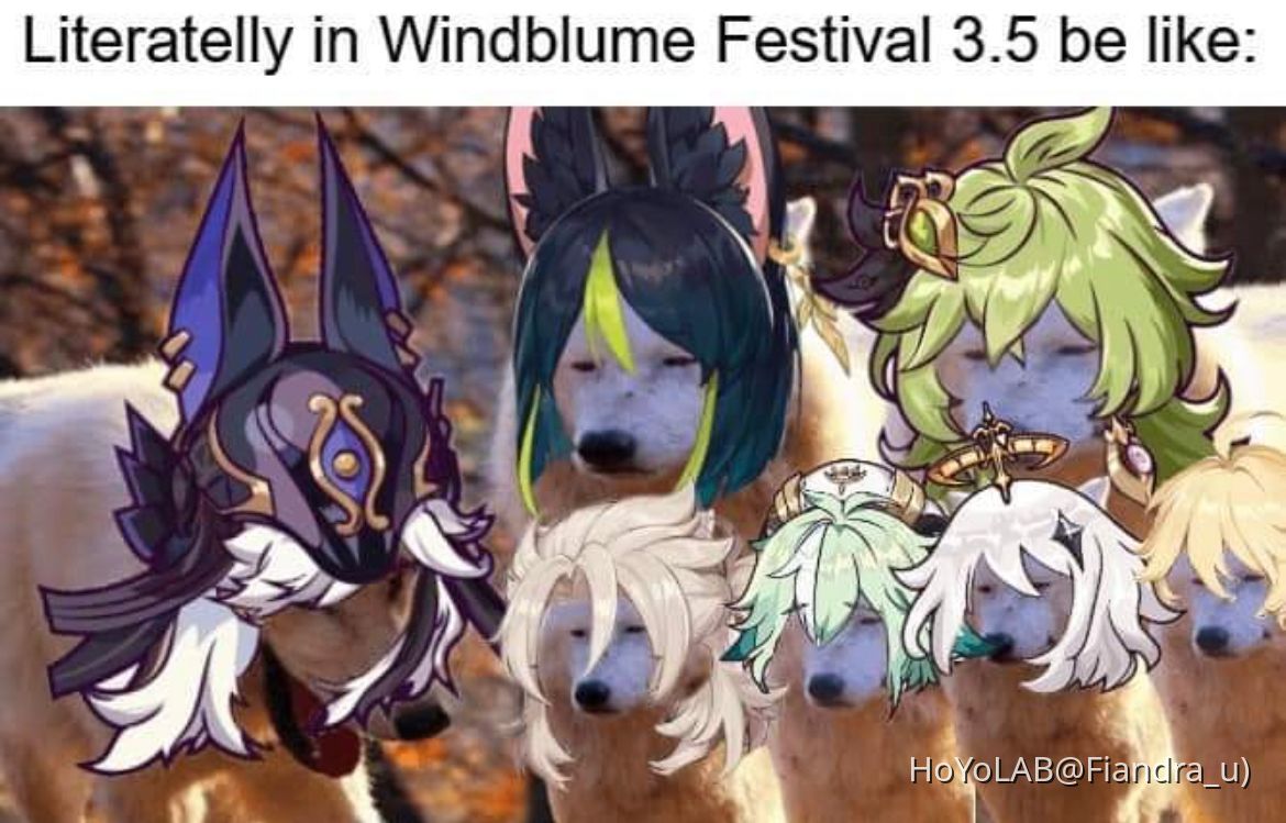 Cyno jokes Genshin Impact HoYoLAB