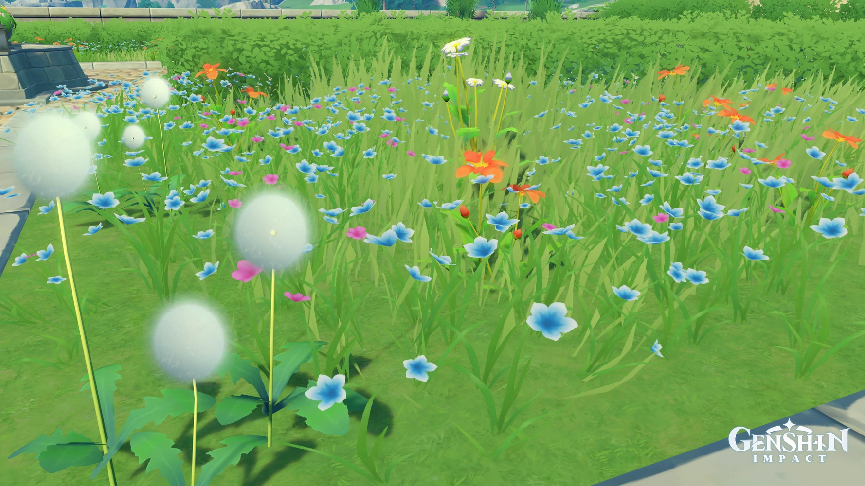 Mondstadt flowers Genshin Impact HoYoLAB