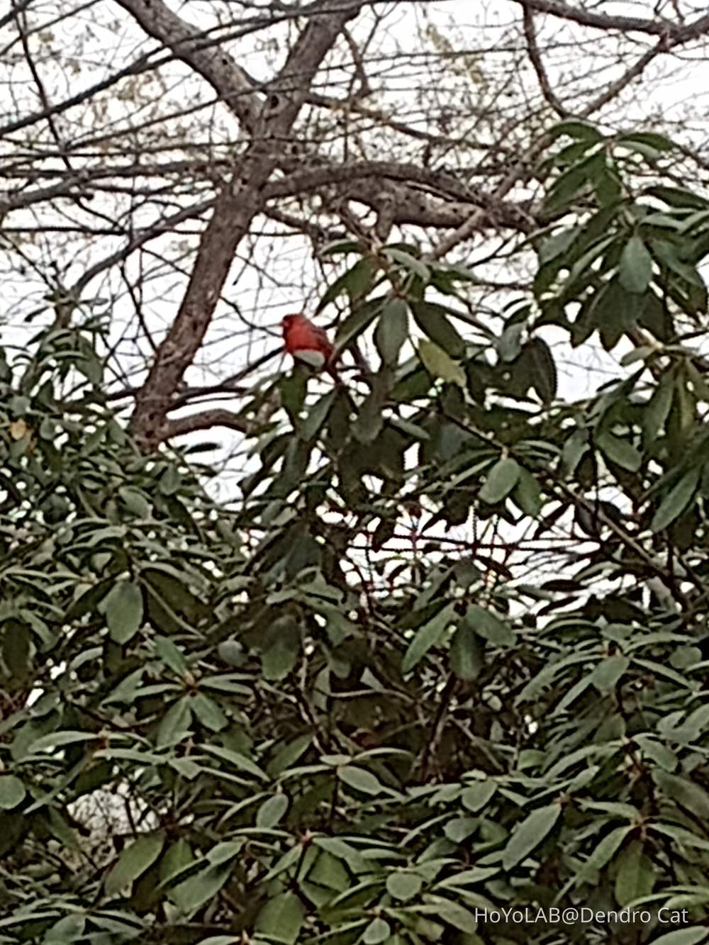 JellyHead wondering why he's so great and more random pictures I have