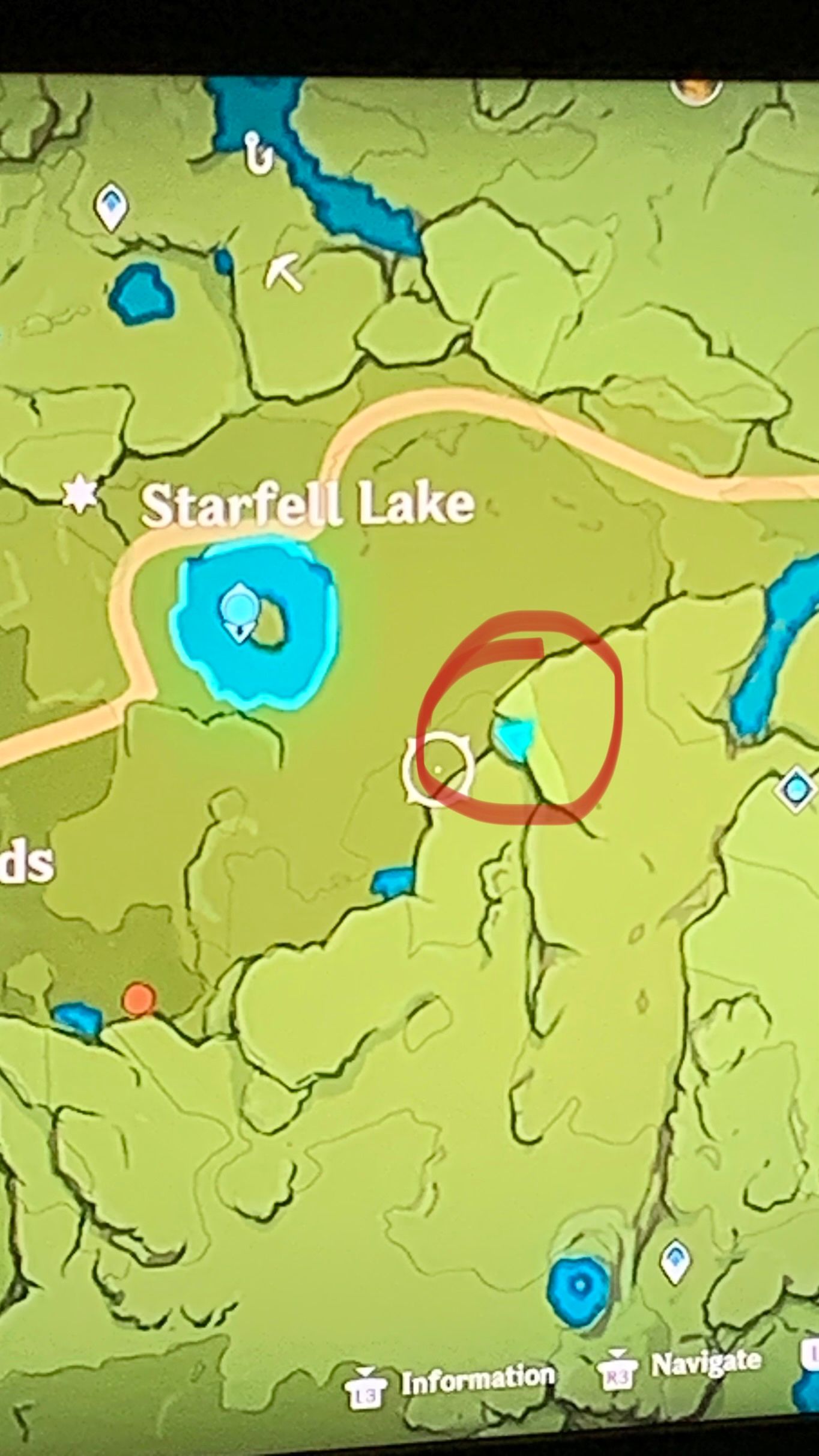 Secret chest in starfell valley Genshin Impact HoYoLAB