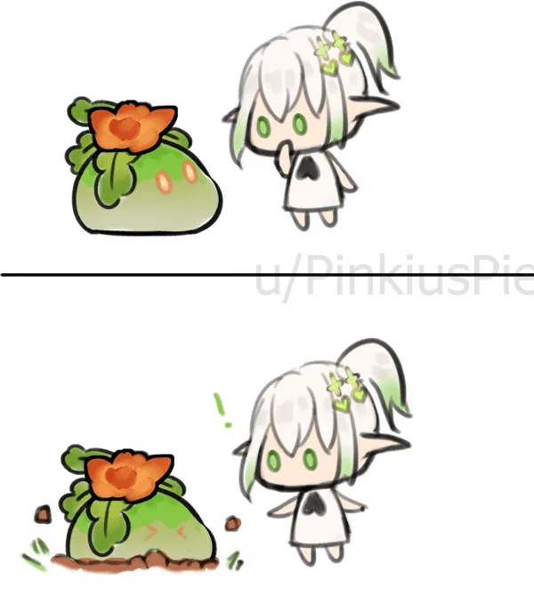 Burning radishes Genshin Impact HoYoLAB