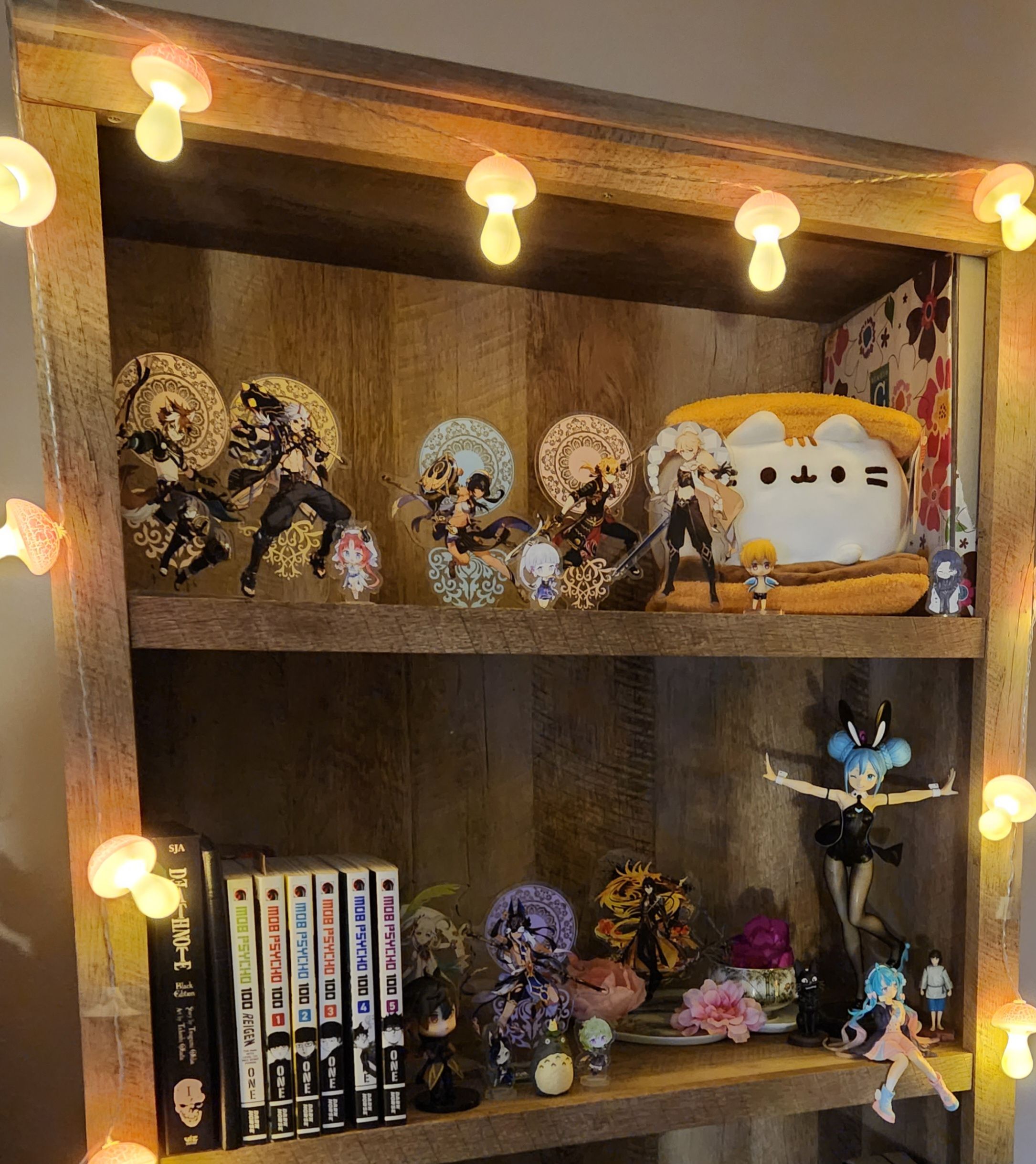 Finally got a bookcase to put them on! Genshin Impact HoYoLAB